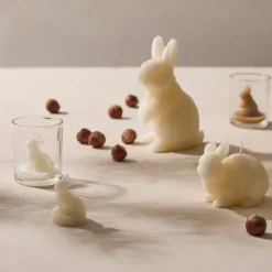 Fabrique de Styles Bougies Non Parfumées*Bougie lapin 5h - Floreal