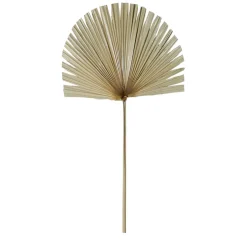 Fabrique de Styles Fleurs Séchées*Branchage palmier 50xh96cm feuille de palmier