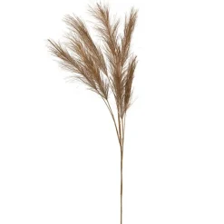 Fabrique de Styles Fleurs Et Plantes Artificielles*Branchage pampa h75cm - Pampa