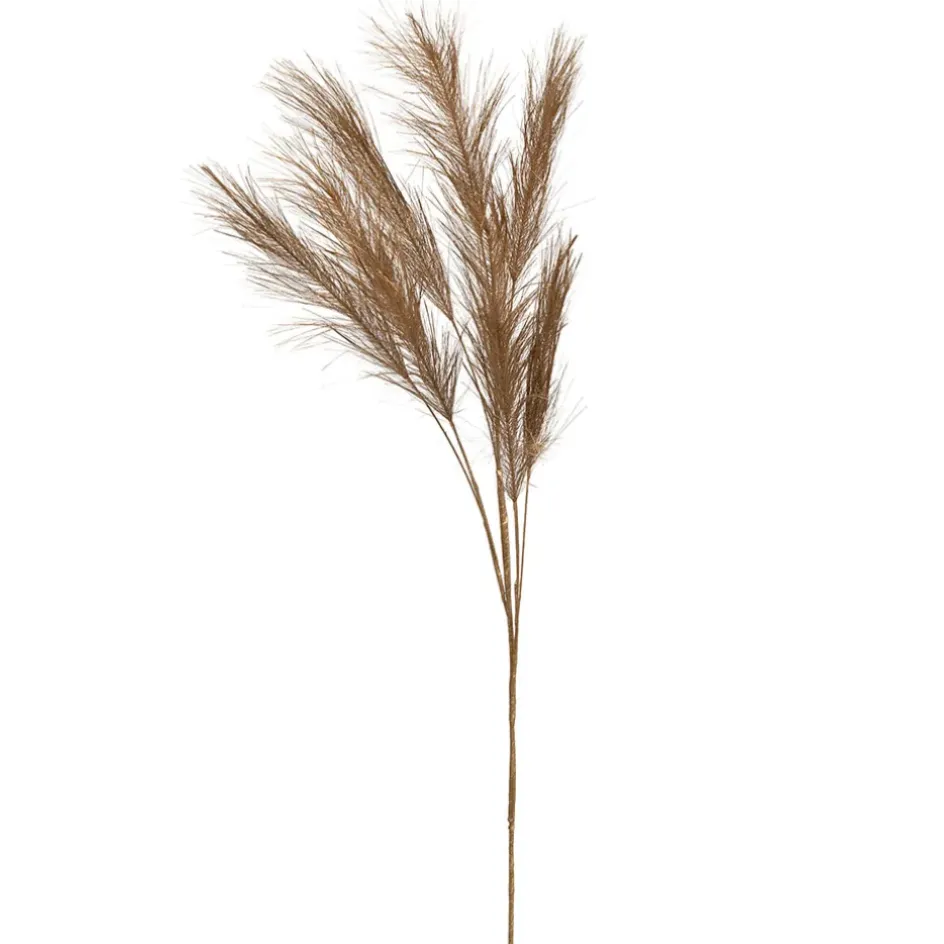 Fabrique de Styles Fleurs Et Plantes Artificielles*Branchage pampa h75cm - Pampa