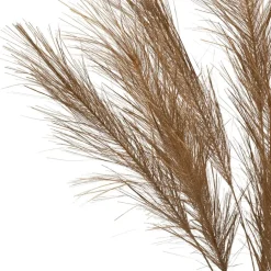 Fabrique de Styles Fleurs Et Plantes Artificielles*Branchage pampa h75cm - Pampa