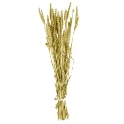 Fabrique de Styles Fleurs Séchées*Branche triticum h70cm