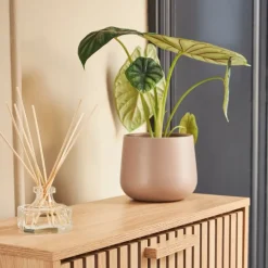 Fabrique de Styles Cache-pots Et Supports*Cache pot en céramique d13.5cm