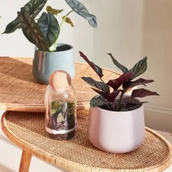 Fabrique de Styles Cache-pots Et Supports*Cache pot en céramique d13.5cm