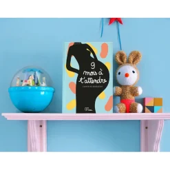 Fabrique de Styles Livres*Cahier de grossesse 9 mois à t’attendre