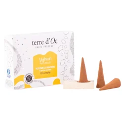 Fabrique de Styles Encens*Coffret 10 cônes d'encens citronnelle avec porte encens