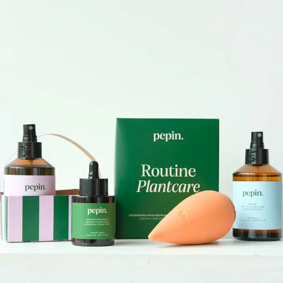 Fabrique de Styles Accessoires*Coffret 4 pièces routine plantecare