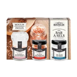 Fabrique de Styles Condiments Et Épices*Coffret bar à sel du monde