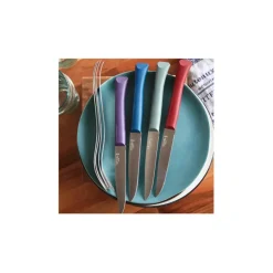 Fabrique de Styles Couverts*Coffret de 4 couteaux de table multicolor - Opinel
