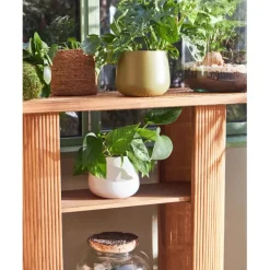 Fabrique de Styles Consoles*Console en bambou et sapin - Saori