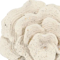 Fabrique de Styles Petits Objets Déco*Déco corail h22,5cm - Ostrea