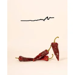 Fabrique de Styles Déco À Suspendre Et Adhésive*Décoration murale ligne biarritz 50cm