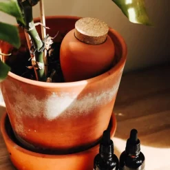 Fabrique de Styles Accessoires*Diffuseur d'eau en argile 25cl - Olla