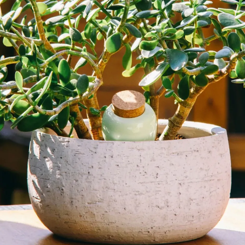 Fabrique de Styles Accessoires*Diffuseur d'eau en argile 25cl - Olla