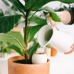 Fabrique de Styles Accessoires*Diffuseur d'eau en argile graine 25cl - Olla