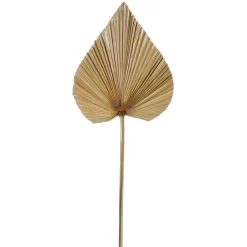 Fabrique de Styles Fleurs Séchées*Feuille de palmier h62cm - Golden