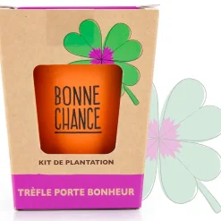 Fabrique de Styles Prêt À Pousser*Kit message bonne chance - trèfle à 4 feuilles