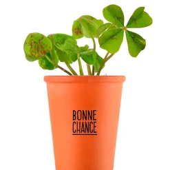 Fabrique de Styles Prêt À Pousser*Kit message bonne chance - trèfle à 4 feuilles