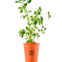 Fabrique de Styles Prêt À Pousser*Kit message j'amène l'apéro - cacahuètes