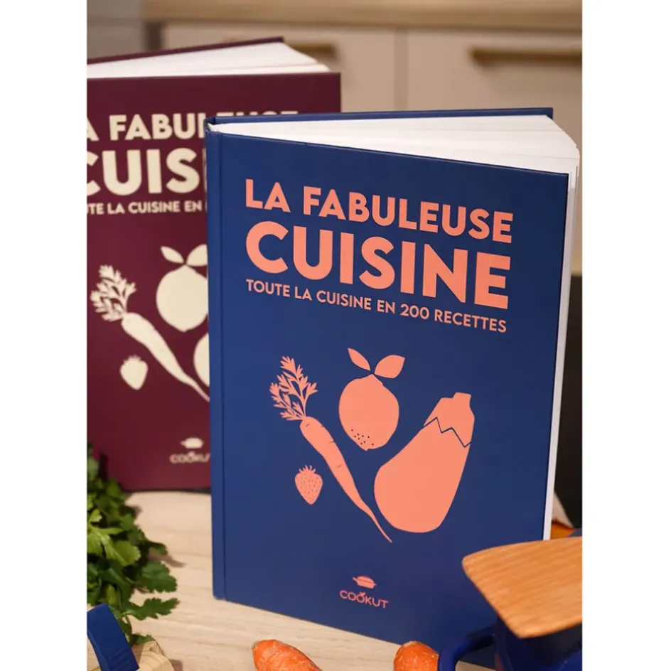 Fabrique de Styles Livres*Livre de 200 recettes pour la Fabuleuse