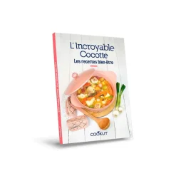 Fabrique de Styles Livres*Livre de recettes bien-etre