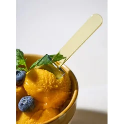 Fabrique de Styles Couverts*Lot de 6 cuillères à glace en verre borosilicate - Colorea