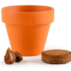 Fabrique de Styles Prêt À Pousser*Mini kit d6cm terre cuite trèfle 4 feuilles