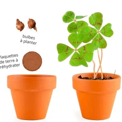 Fabrique de Styles Prêt À Pousser*Mini kit d6cm terre cuite trèfle 4 feuilles