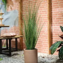 Fabrique de Styles Fleurs Et Plantes Artificielles*Plante artificielle en pot h100cm