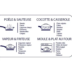 Fabrique de Styles Plats Et Appareils De Cuisson*Poêle en aluminium saphir d24cm - La Fabuleuse