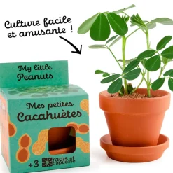 Fabrique de Styles Prêt À Pousser*Pot d8cm avec coupelle cacahuète