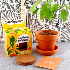 Fabrique de Styles Prêt À Pousser*Pot d8cm avec coupelle plante qui danse