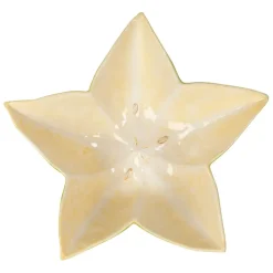 Fabrique de Styles Plats Et Saladiers*Saladier étoile de mer en dolomite vert et jaune d28cm