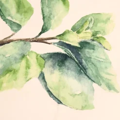 Fabrique de Styles Serviettes De Table*Set de 5 torchons aroma vert et lin en coton