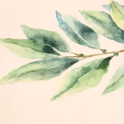 Fabrique de Styles Serviettes De Table*Set de 5 torchons aroma vert et lin en coton