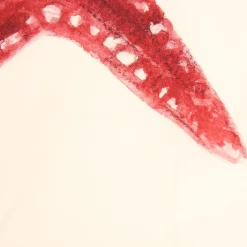 Fabrique de Styles Torchons, Tabliers Et Maniques*Set de 5 torchons crustace en coton