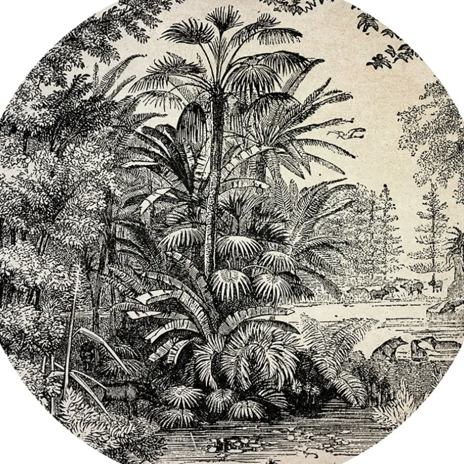 Fabrique de Styles Sets De Table*Set de table vinyle jungle d35cm