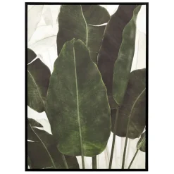 Fabrique de Styles Tableaux Et Toiles*Tableau en toile encadré feuilles 52x72cm - Gallery