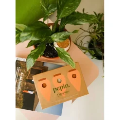 Fabrique de Styles Accessoires*Trio mini diffuseur d'eau en argile : 2 terracotta et 1 blanc graine - Olla