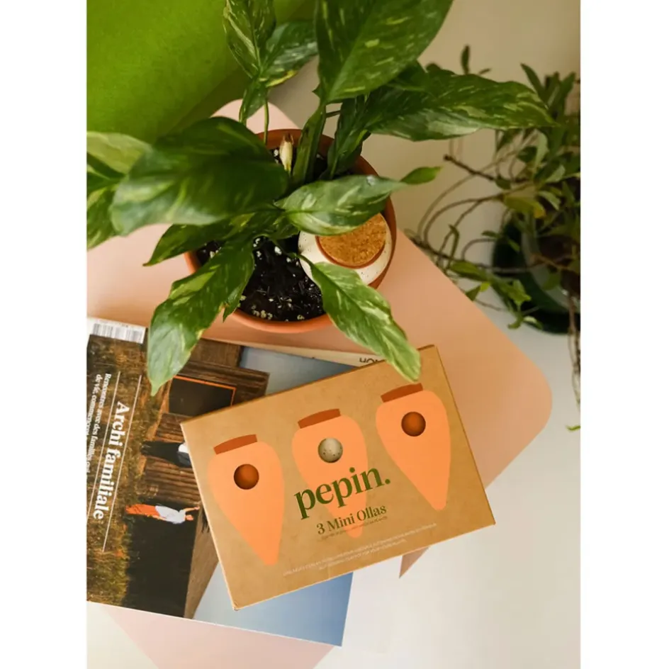 Fabrique de Styles Accessoires*Trio mini diffuseur d'eau en argile : 2 terracotta et 1 blanc graine - Olla