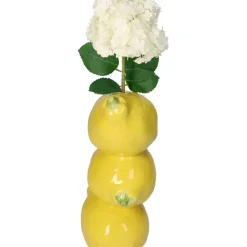 Fabrique de Styles Vases Et Soliflores*Vase citron 10.5x8.5x19.5cm